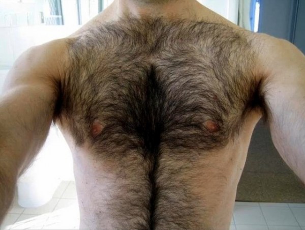 Hairy Back Pictures 105